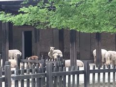 -南昌动物园