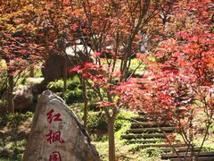 -广州市帽峰山景区