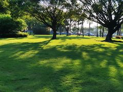 -深圳湾公园(南山区)