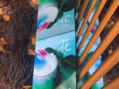 -桂满陇·海市蜃楼·黑金(国金店)