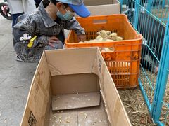 -中粮·祥云小镇