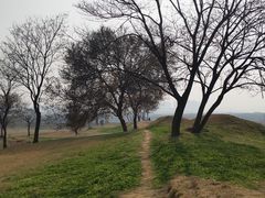 -盘龙城国家考古遗址公园