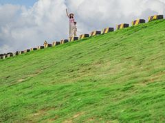 -广州市流溪河国家森林公园