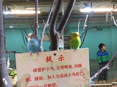 -上海大自然野生昆虫馆(东方明珠·爬宠昆虫探索中心)