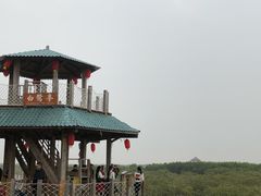 -北海金海湾红树林生态旅游区