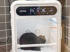 -它主义宠物(梁溪万达店)