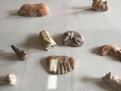 -北京动物园-畅观楼