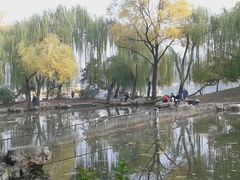 -紫竹院公园冰场