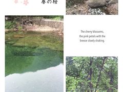 -白云源风景区