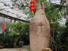 -北京植物园-展览温室