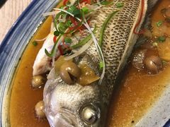 -芒果爆爆(东海缤纷店)