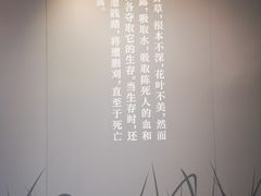 -北京鲁迅博物馆(北京新文化运动纪念馆鲁博馆区)