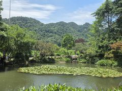 -中国茶叶博物馆(双峰馆区)