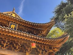 -上海东林寺(金山区)