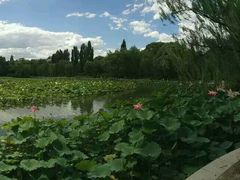android_upload_pic-紫竹院公园冰场