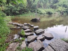 -水濂山森林公园