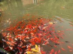 -食膳公园包子铺(烈士公园店)