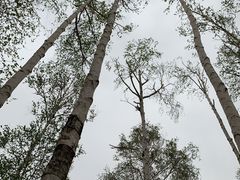 -长春市南湖公园