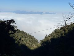 -云南屏边大围山国家公园