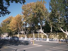 -南京中国近代史遗址博物馆(南京总统府)