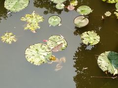 -大妙火锅·非物质文化遗产(东湖公园店)