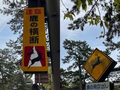 -奈良公园