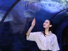 -左海海底世界