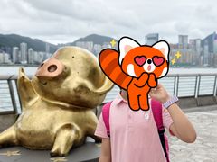-星光大道