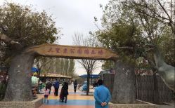 -大望京儿童游乐场