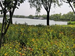 -石家庄市植物园