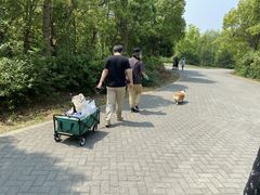 -上海海湾国家森林公园