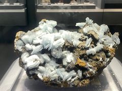 -湖南省地质博物馆