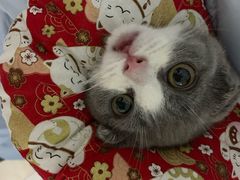 -百信宠物医院(东升街店)