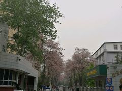 -北京邮电大学