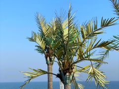 -巧克力渔家.小船海鲜家常菜(万平口店)