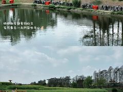 -乌村