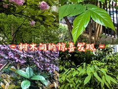 -龙头寺公园