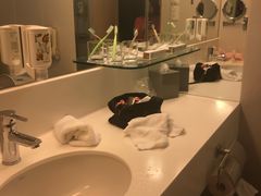 -香港皇家太平洋酒店