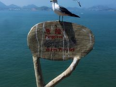 景点-海驴岛(荣成市)