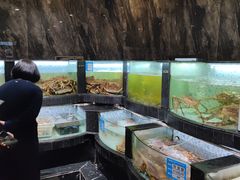 -德天肥牛海鲜火锅(城西银泰店)