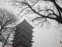 -紫蓬山国家森林公园