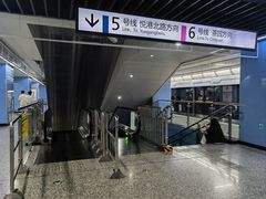 -大龙山(地铁站)