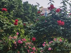 -人民公园(罗湖区)