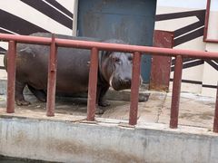 -青藏高原野生动物园