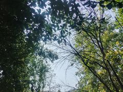 -重庆彩云湖湿地公园