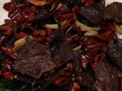 -云腾食府·云南菜
