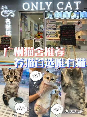 靠谱猫店丨养猫就找唯有猫…