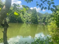 -桂林古东瀑布景区