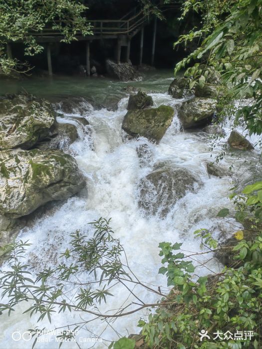 古龙山大峡谷图片