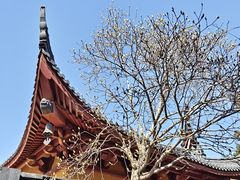 -丝绸小镇荻港古村